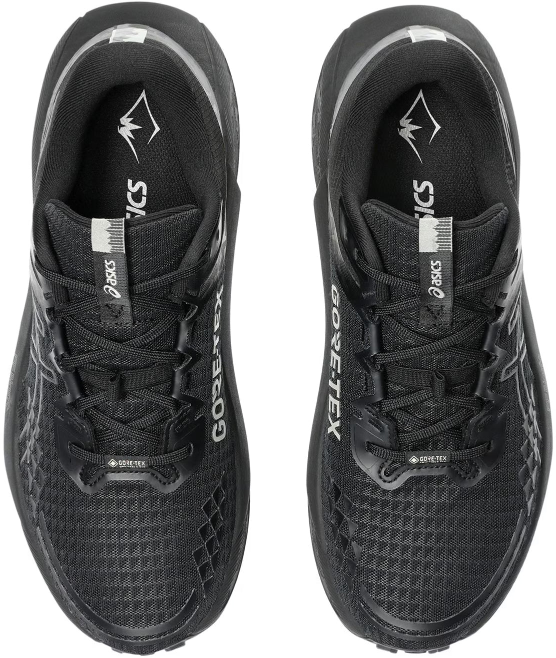 Asics Gel Trabuco 13 GORE - TEX Men's Trail Running Shoes - Black
