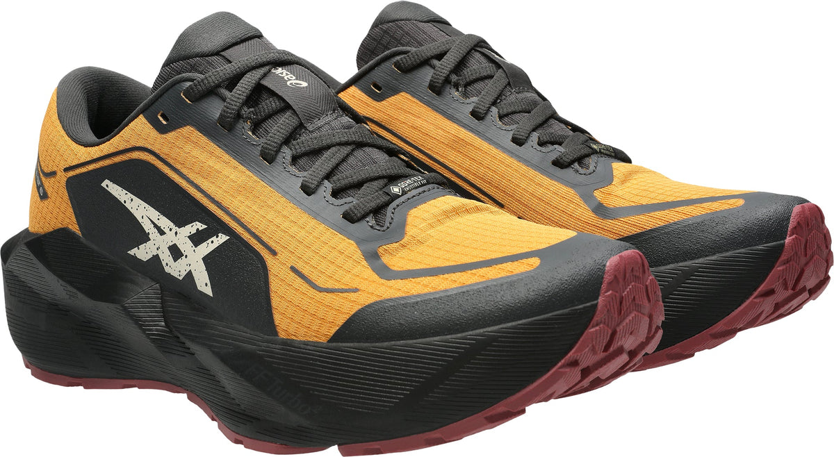 Asics NovaBlast 6 GORE - TEX Men's Running Shoes - Orange