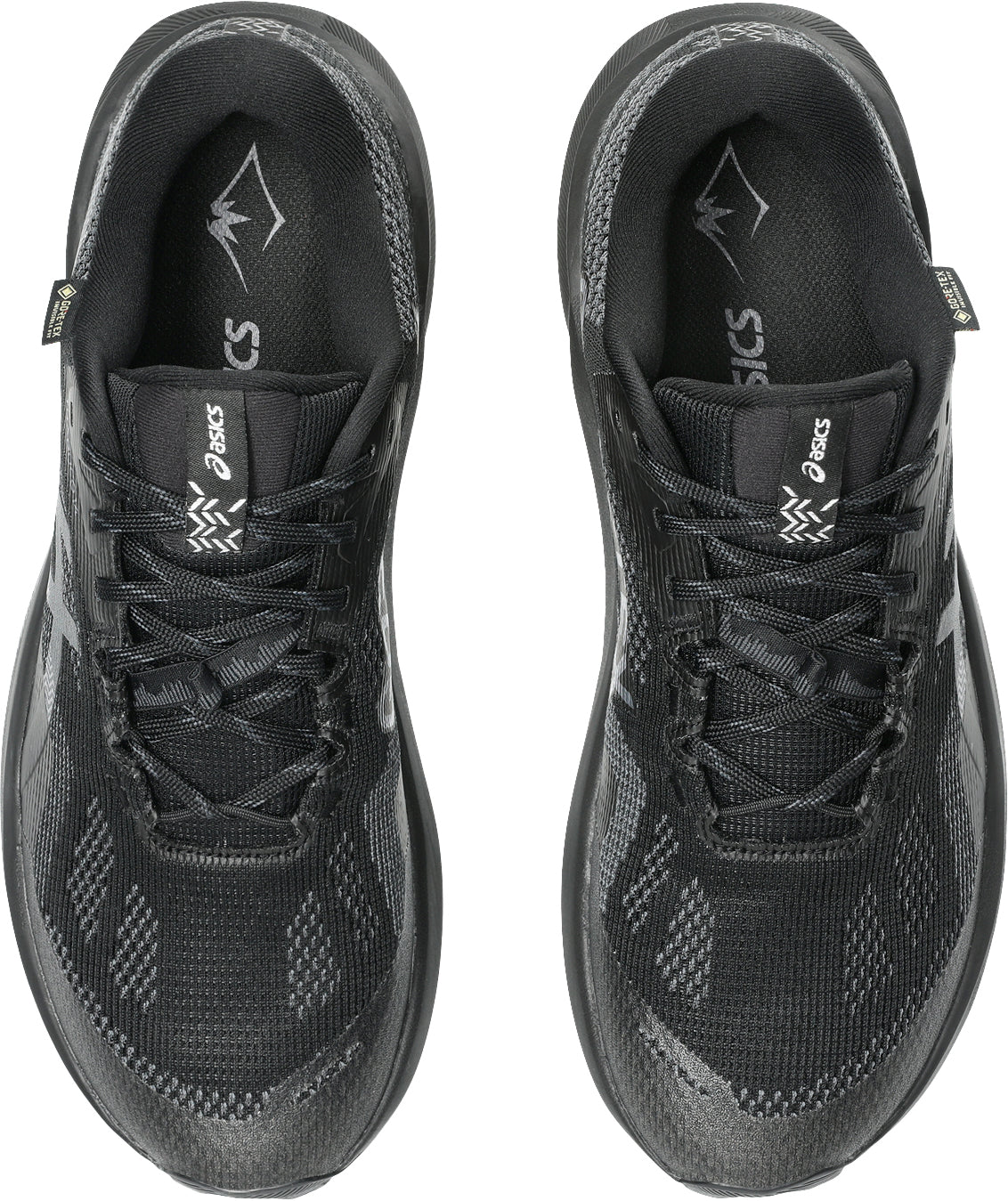 Asics Trabuco 14 GORE - TEX Men's Trail Running Shoes - Black