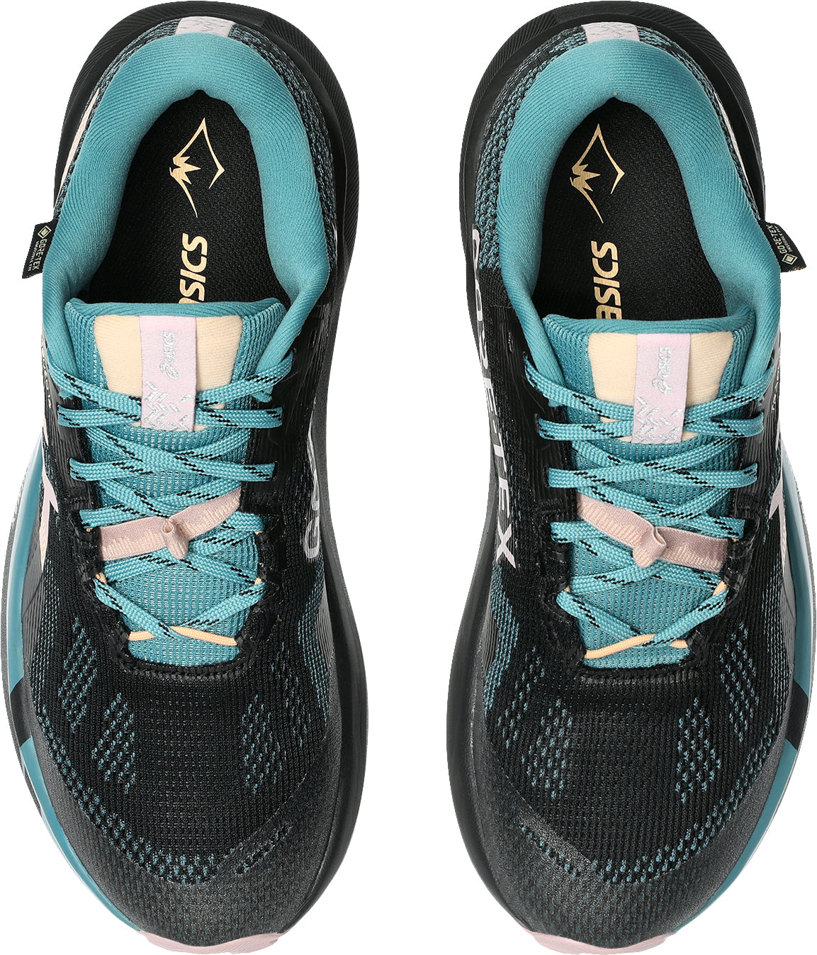 Asics Trabuco 14 GORE - TEX Women's Trail Running Shoes - Black