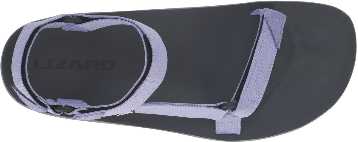 Lizard Hike 2 Women's Sandals - Blue