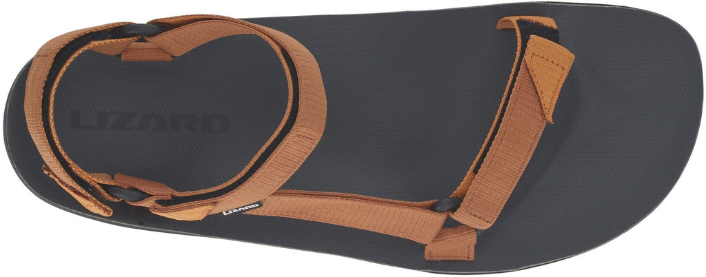 Lizard Hike 2 Men's Sandals - Brown