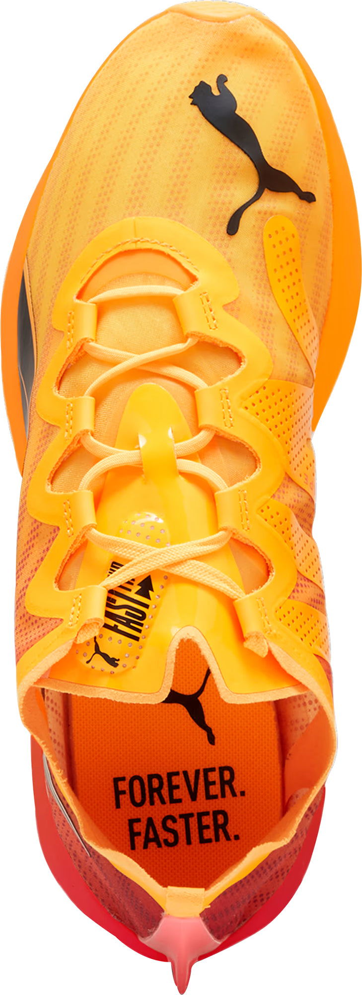 Puma Fast - FWD Nitro Elite Men's Running Shoes - Orange