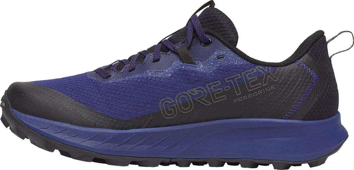 Saucony Peregrine 15 GORE - TEX Men's Trail Running Shoes - Blue