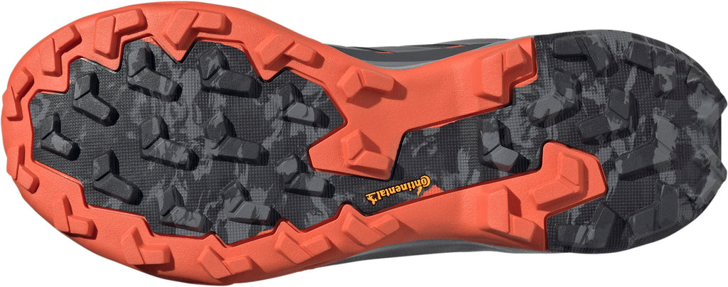 adidas Terrex Skychaser AX5 GORE - TEX Men's Walking Shoes - Grey