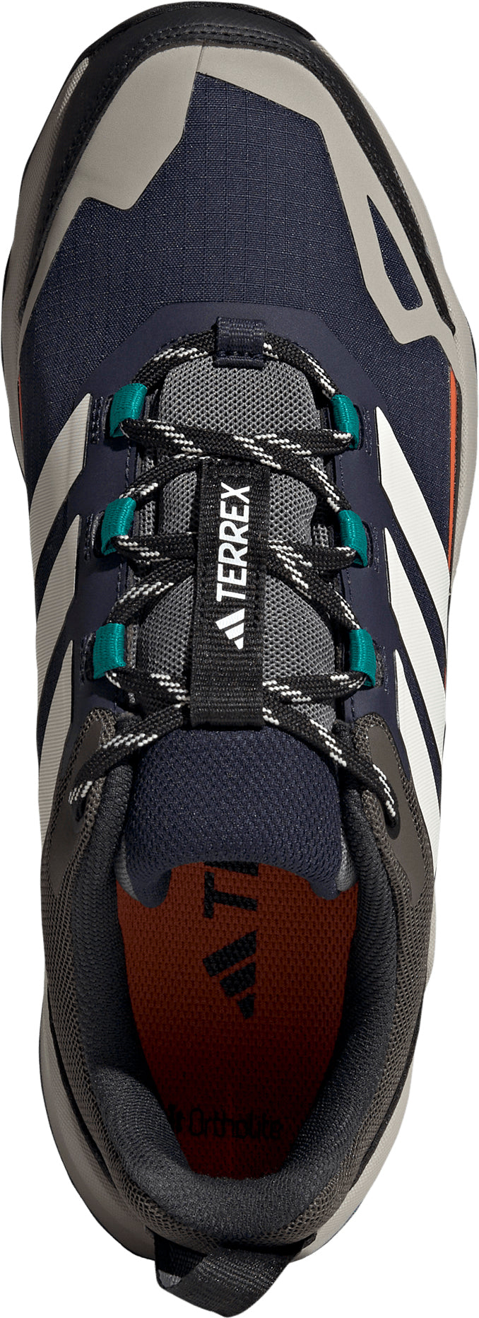 adidas Terrex Skychaser AX5 GORE - TEX Men's Walking Shoes - Blue